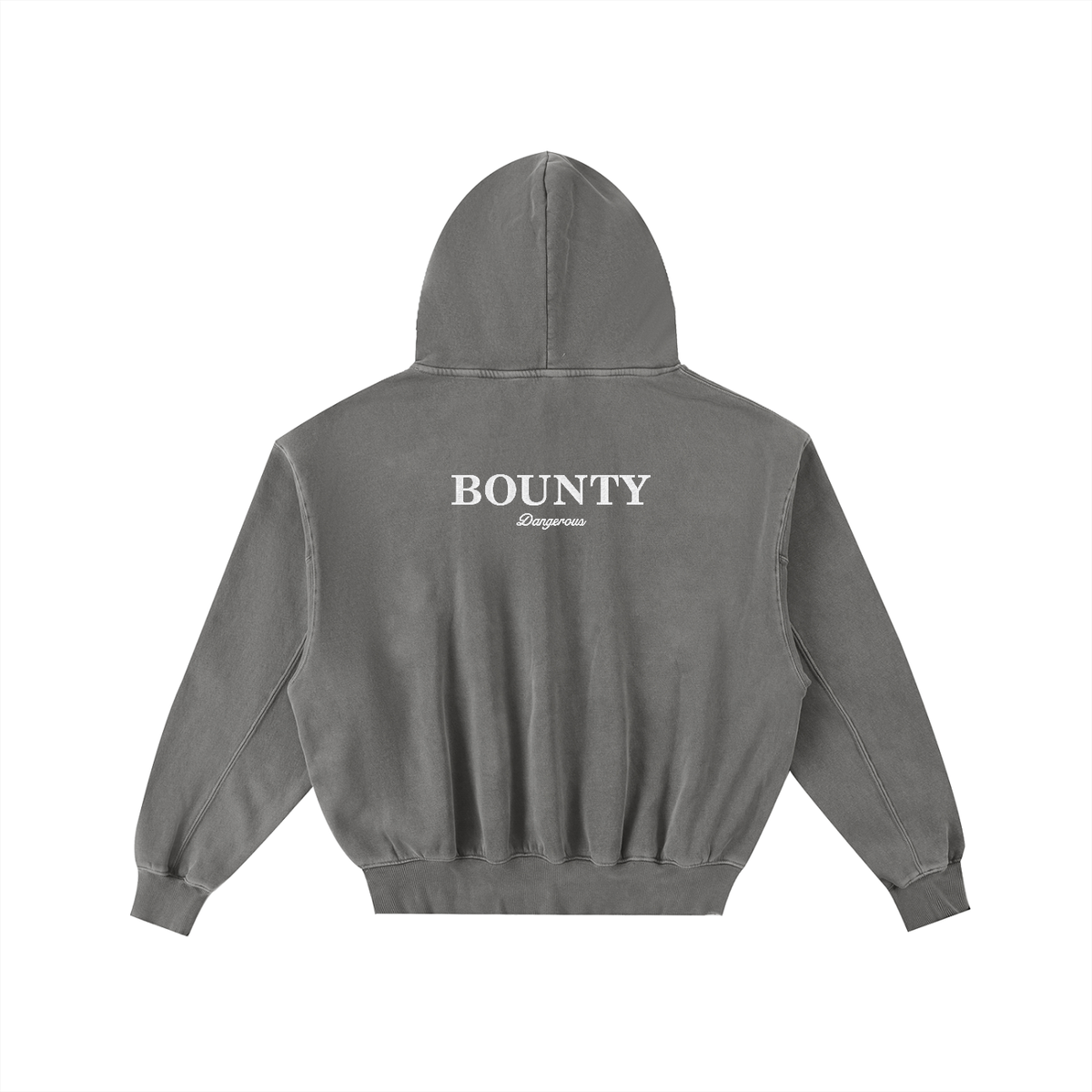 BORN BAD Dangerous Embroidered Hoodie