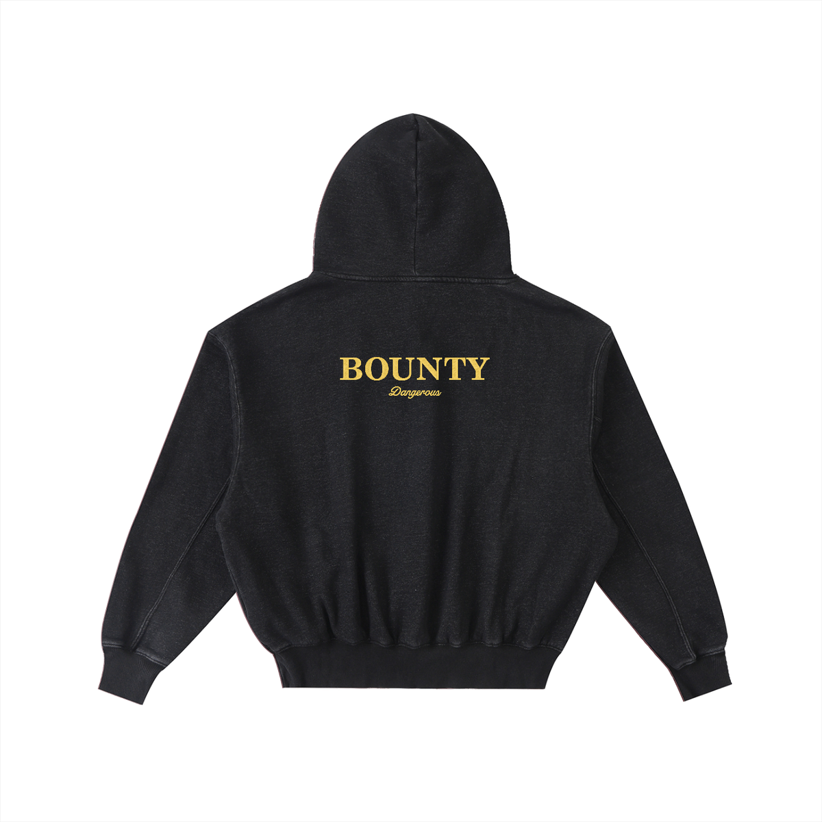 BORN BAD Dangerous Embroidered Hoodie